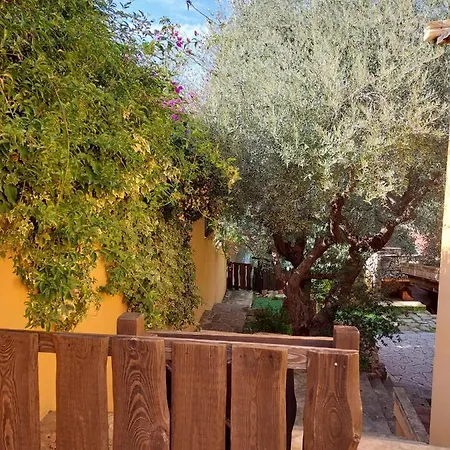 L'orchidea Ferienhaus *