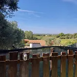 L'orchidea Capitana