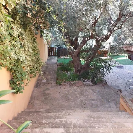 Holiday home L'orchidea