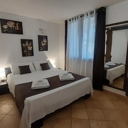 L'orchidea * Capitana